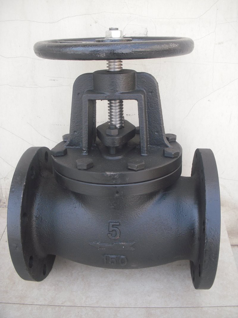 Cast Iron Flange Globe Valve
