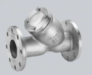 Flange Connection Stainless Steel Y Strainer With Ss Filter